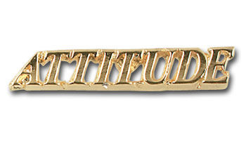 Attitude Pin