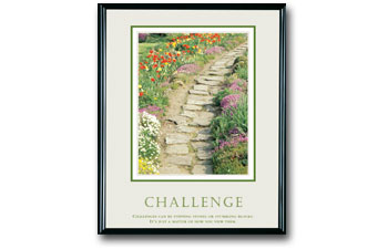 Challenge Poster Framed