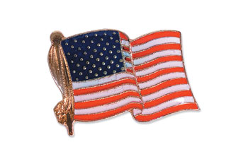 Us Flag Lapel Pin