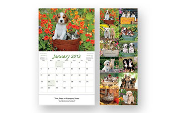 Cats And Dogs Wall Calendar