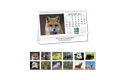 north american wildlife desk cal.