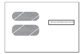 Dbl Window Env Selfseal For W2 Form