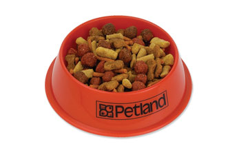 Cat Bowl