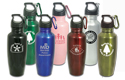 meridien stainless water bottle