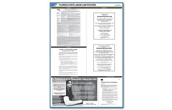 Florida State Poster Kit Spanish