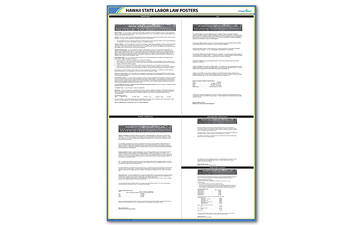 Hawaii State Poster Kit