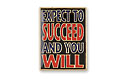 expect to succeed and you will