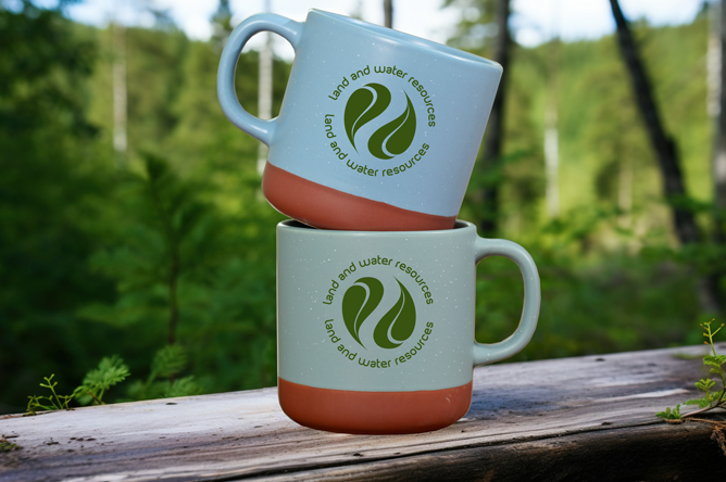 Eco Friendly Mugs