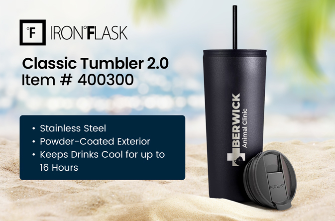Iron Flask Classic Tumbler 2.0 24 oz 