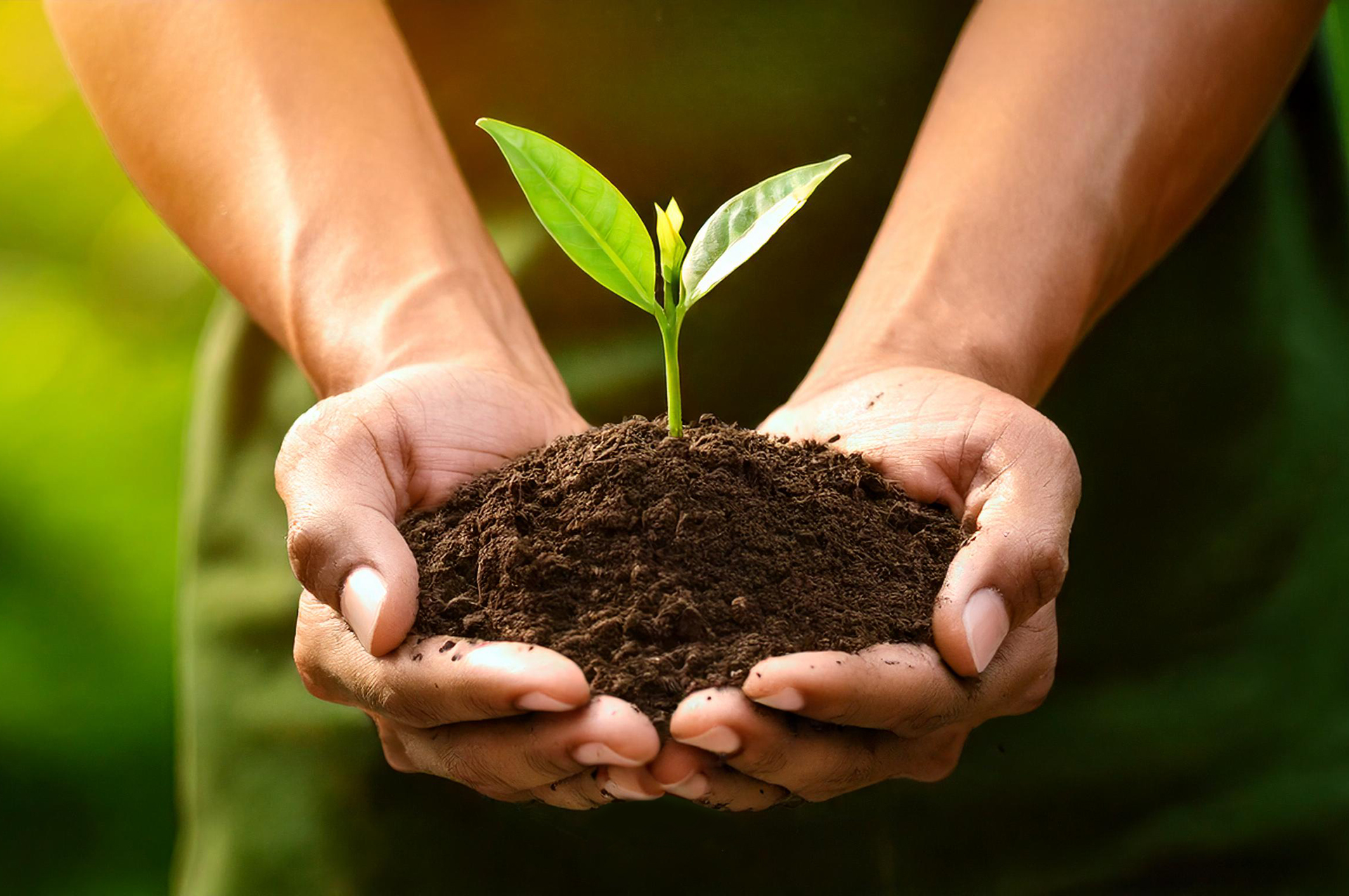 Guide to a Greener Business